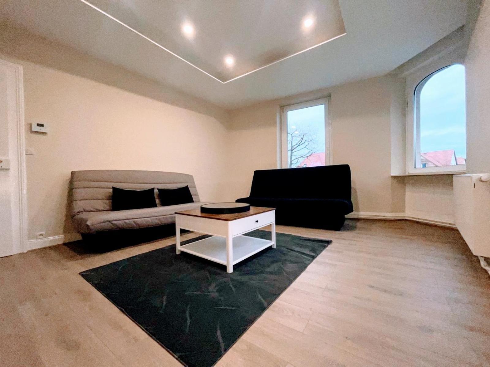 Magnifique Appartement Charmant T3 80M2 Parking Gratuit Rosheim Ngoại thất bức ảnh